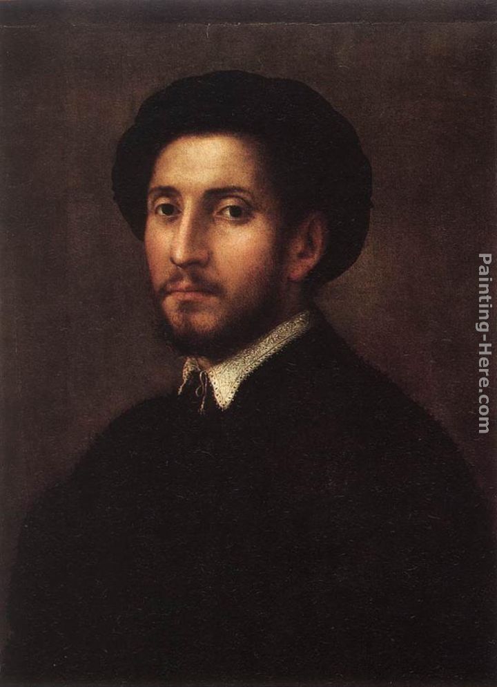 Pier Francesco Di Jacopo Foschi Portrait of a Man